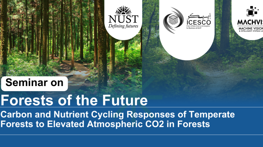 Forests of the future